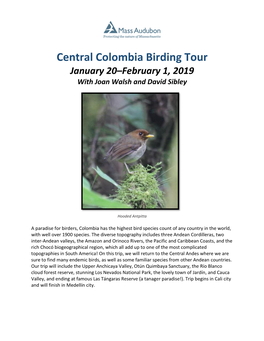 Central Colombia Birding Tour January 20–February 1, 2019 with Joan Walsh and David Sibley