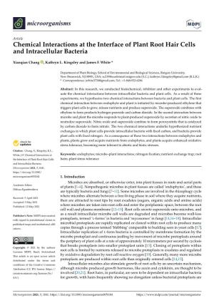 Chemical Interactions at the Interface of Plant Root Hair Cells and Intracellular Bacteria