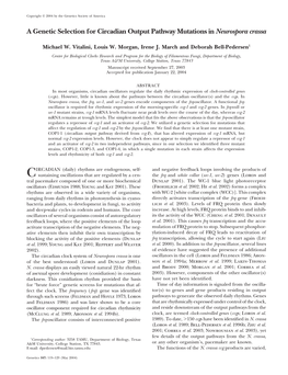 A Genetic Selection for Circadian Output Pathway Mutations in Neurospora Crassa