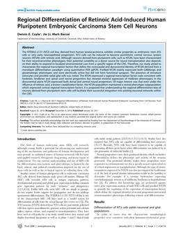 Regional Differentiation of Retinoic Acid-Induced Human Pluripotent Embryonic Carcinoma Stem Cell Neurons