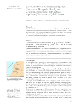 Crustacea, Decapoda, Brachyura, Cenomanocarcinidae) Del Cretaceo Superiore (Cenomaniano) Del Libano