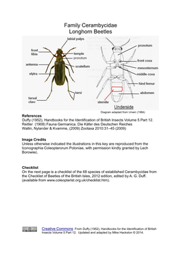 Family Cerambycidae Longhorn Beetles