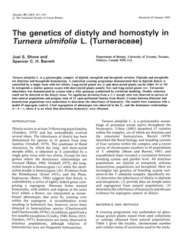 The Genetics of Distyly and Homostyly in Turnera Ulmifolia L
