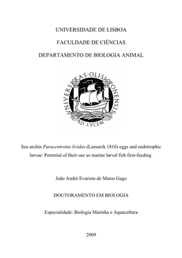 Paracentrotus Lividus (Lamarck 1816) Eggs and Endotrophic Larvae: Potential of Their Use As Marine Larval Fish First-Feeding