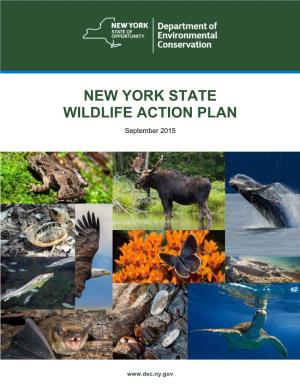 2015 New York State Wildlife Action Plan
