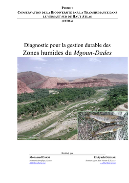 Zones Humides Du Mgoun-Dades