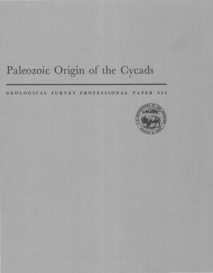 Paleozoic Origin of the Cycads