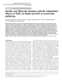 Genetic and Molecular Analyses Indicate Independent Effects of Tgifs on Nodal and Gli3 in Neural Tube Patterning