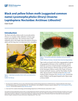 Black and Yellow Lichen Moth (Suggested Common Name) Lycomorpha Pholus (Drury) (Insecta: Lepidoptera: Noctuidae: Arctiinae: Lithosiini)1 Clare Scott2