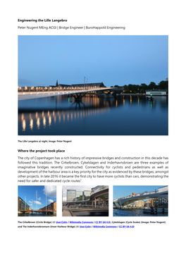 Engineering the Lille Langebro Peter Nugent Meng ACGI | Bridge Engineer | Burohappold Engineering Where the Project Took Place T