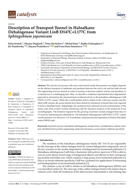 Description of Transport Tunnel in Haloalkane Dehalogenase Variant Linb D147C+L177C from Sphingobium Japonicum
