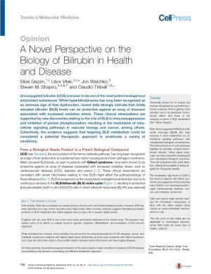 A Novel Perspective on the Biology of Bilirubin in Health and Disease