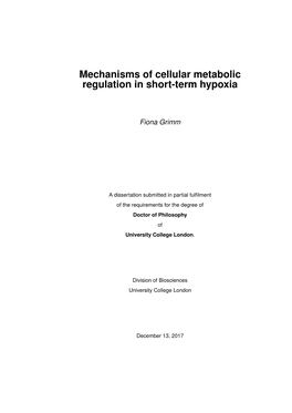 Mechanisms of Cellular Metabolic Regulation in Short-Term Hypoxia