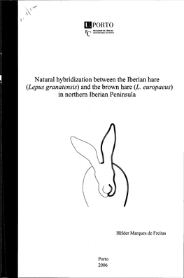 (Lepus Granatensis) and the Brown Hare (L