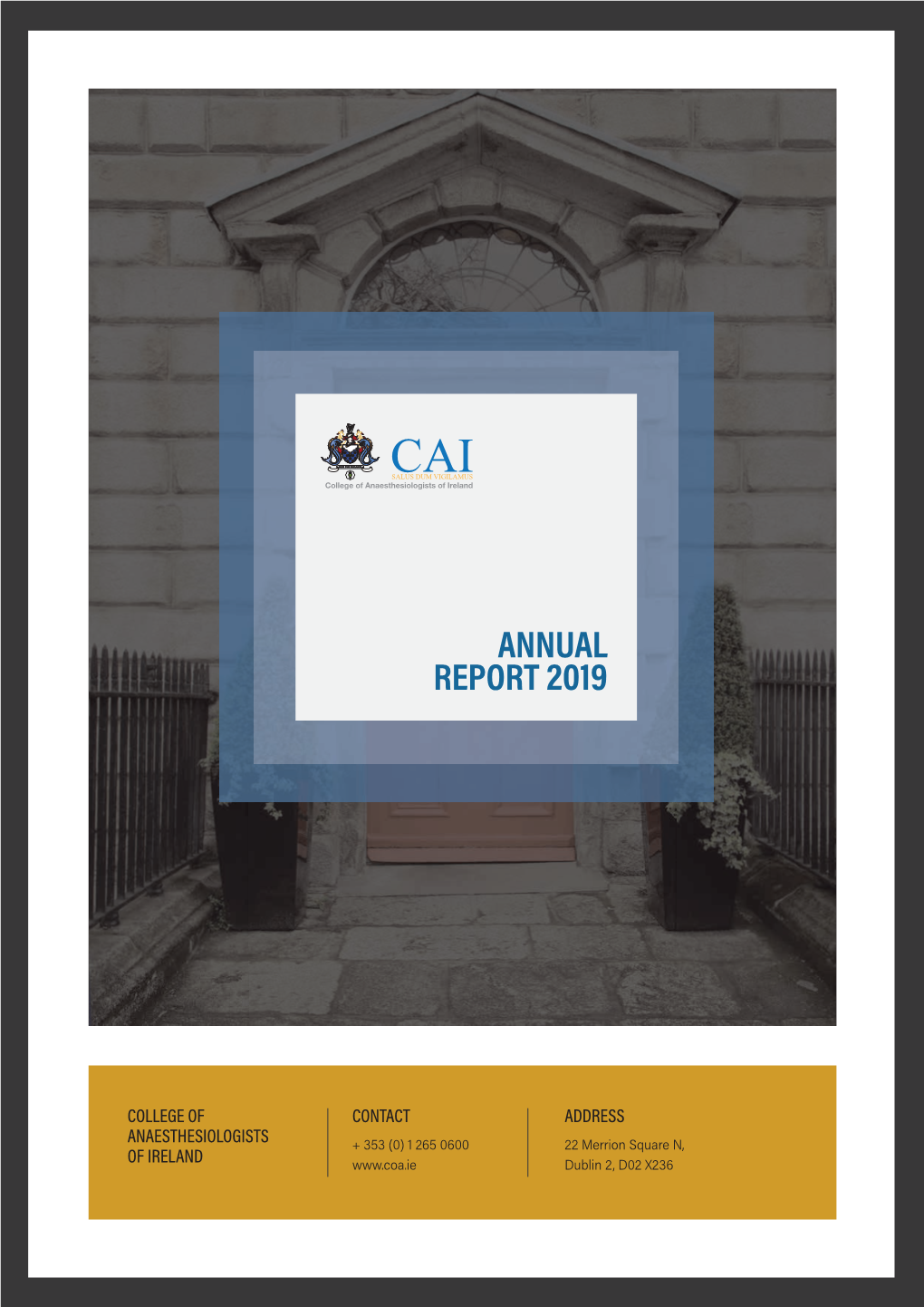 CAI 2020 Annual Report V1 Blue.Indd