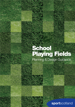 School Playing Fields