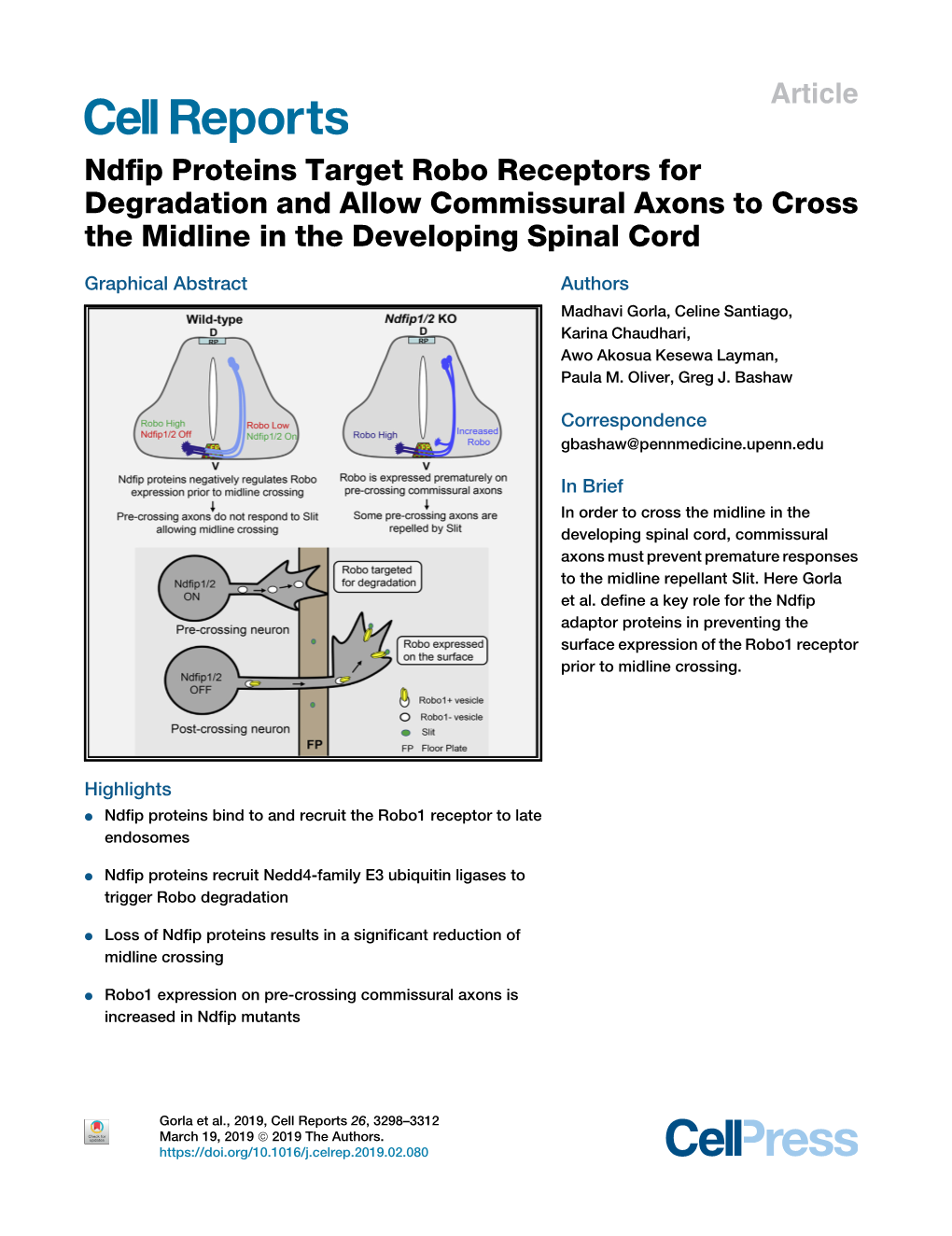 Ndfip Proteins Target Robo Receptors for Degradation and Allow