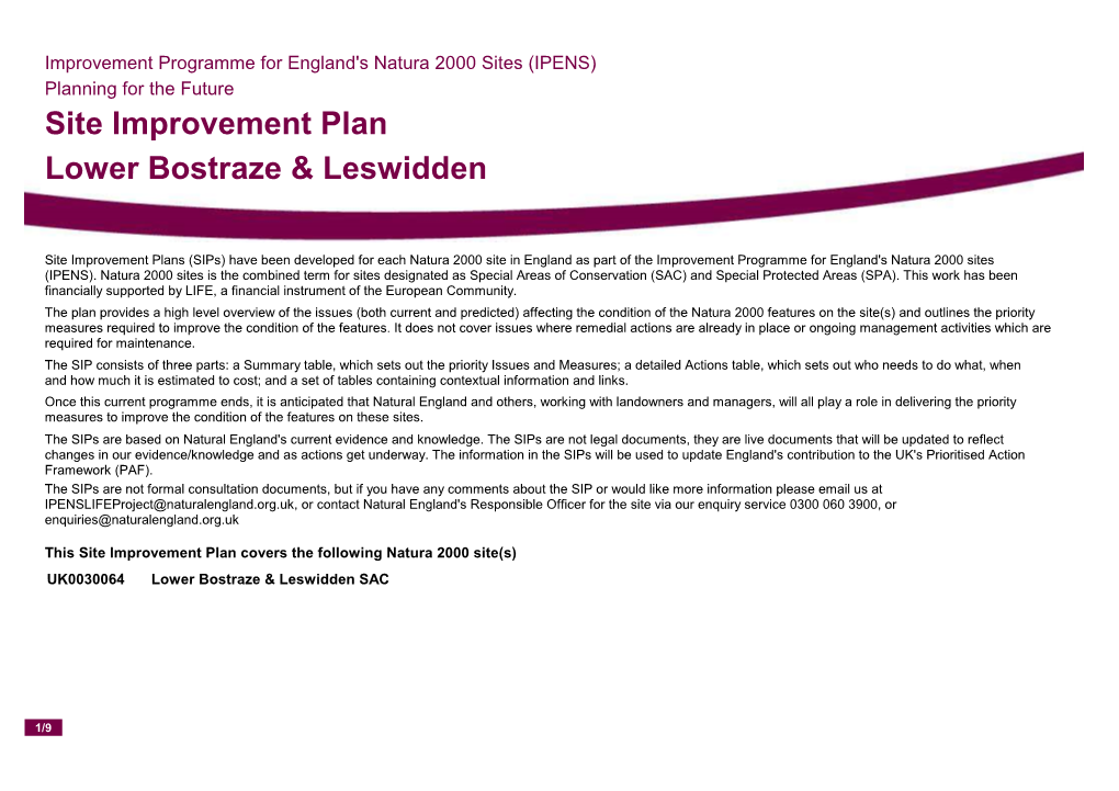 Site Improvement Plan Lower Bostraze & Leswidden