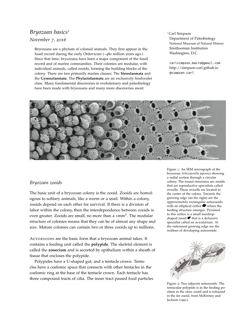 Bryozoan-Handout.Pdf