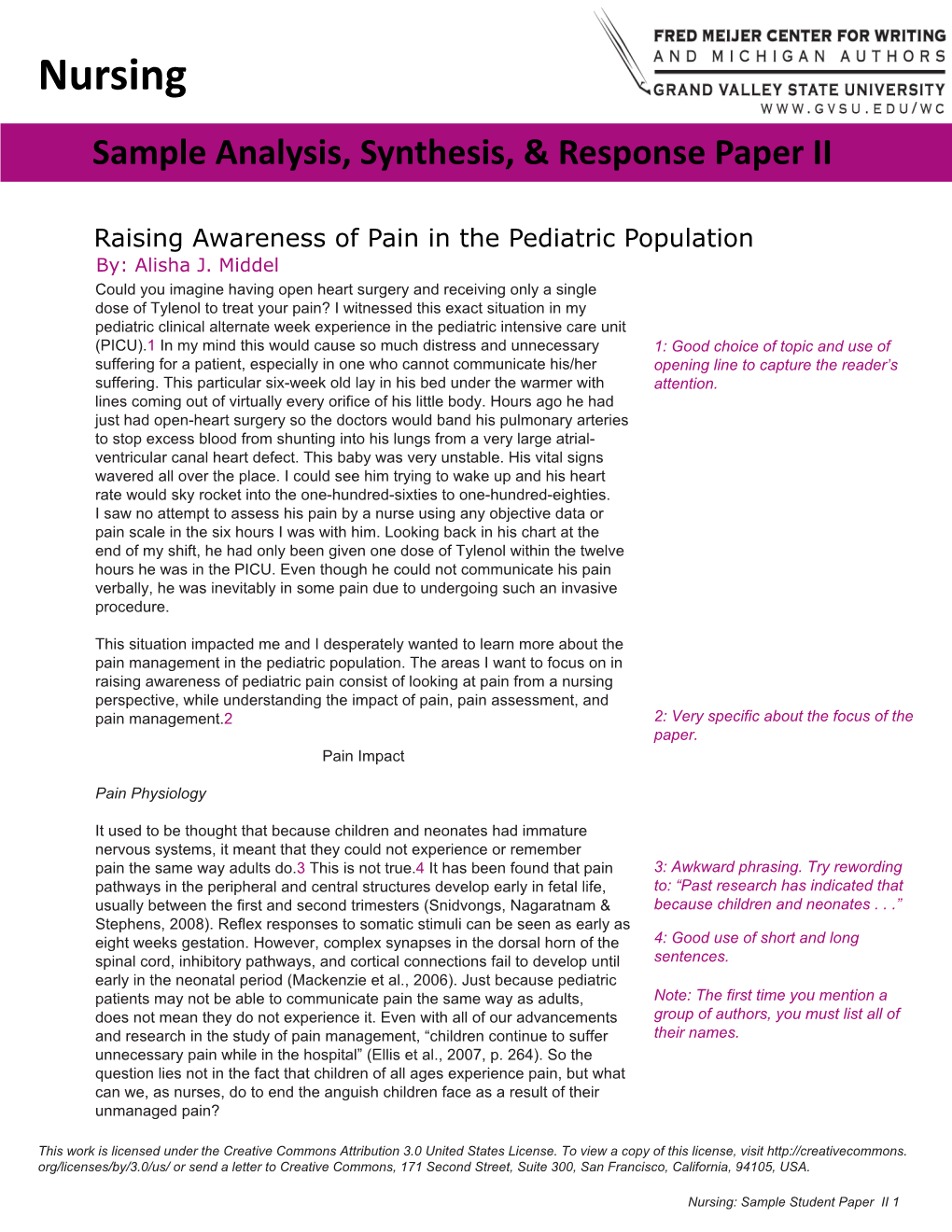 Nursing Sample Analysis, Synthesis, & Response Paper II