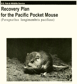 Recovery Plan for the Pacific Pocket Mouse (Perognathus Longimembris Pacificus)* Pacific Pocket Mouse (Perognath Us Iongimembris Pacificus)
