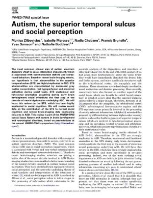 Autism, the Superior Temporal Sulcus and Social Perception