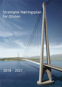 Strategisk Næringsplan for Ofoten 2018 - 2021