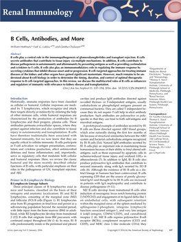 B Cells, Antibodies, and More