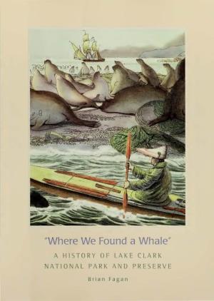 Where We Found a Whale"