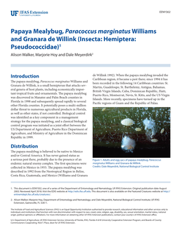 Papaya Mealybug, Paracoccus Marginatus Williams and Granara De Willink (Insecta: Hemiptera: Pseudococcidae)1 Alison Walker, Marjorie Hoy and Dale Meyerdirk2