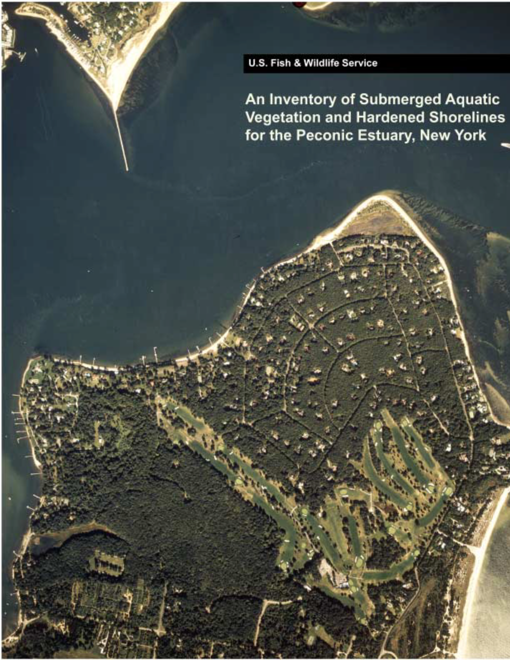 An Inventory of Submerged Aquatic Vegetation and Hardened Shorelines for the Peconic Estuary, New York