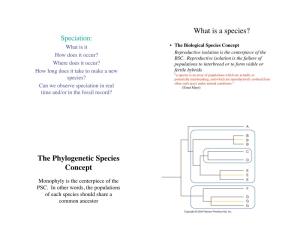 The Phylogenetic Species Concept