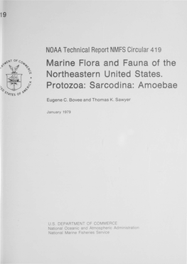 Marine Flora and Fauna of the Northeastern United States. Protozoa: Sarcodina: Amoebae