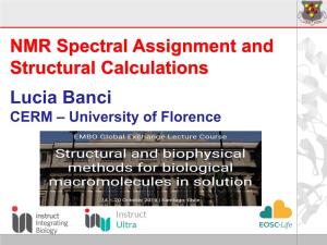 NMR Spectral Assignment and Structural Calculations Lucia Banci CERM – University of Florence Structure Determination Through NMR