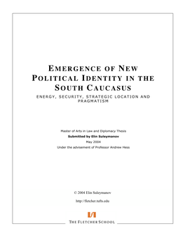 Emergence of New Political Identity in the South