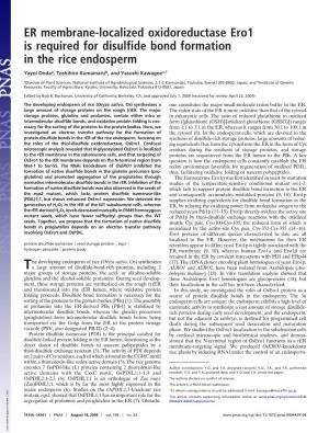 ER Membrane-Localized Oxidoreductase Ero1 Is Required for Disulfide Bond Formation in the Rice Endosperm
