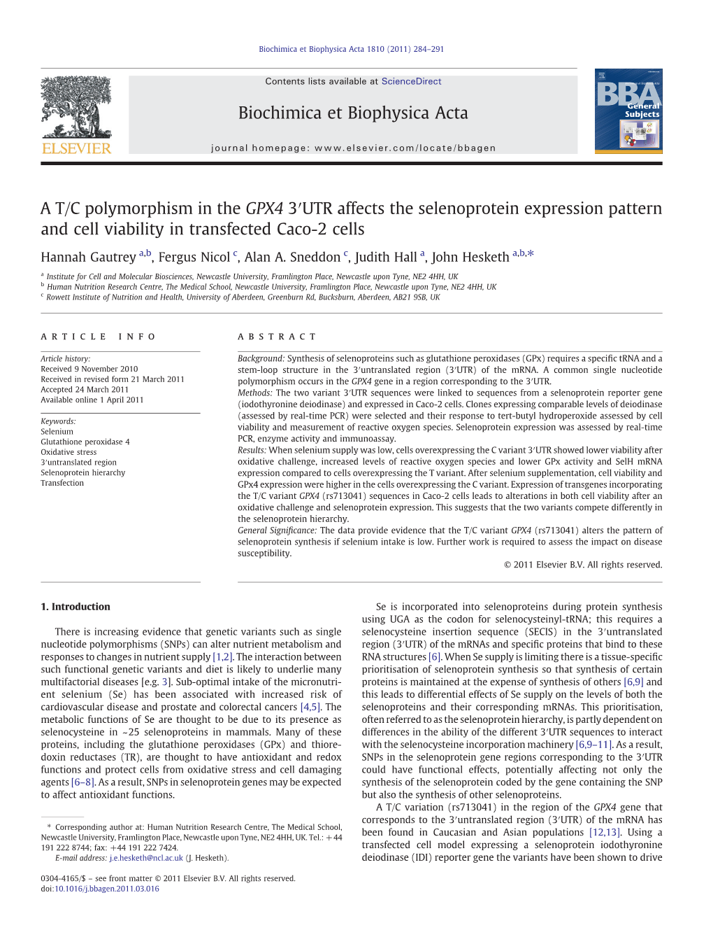 A T/C Polymorphism in the GPX4 3′UTR Affects the Selenoprotein Expression Pattern and Cell Viability in Transfected Caco-2 Cells