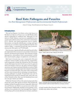 Roof Rats: Pathogens and Parasites for Pest Management Professionals and Environmental Health Professionals