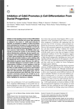 Inhibition of Cdk5 Promotes Β-Cell Differentiation from Ductal