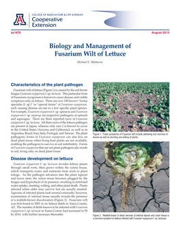 Biology and Management of Fusarium Wilt of Lettuce Michael E