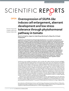 Overexpression of Slupa-Like Induces Cell Enlargement, Aberrant