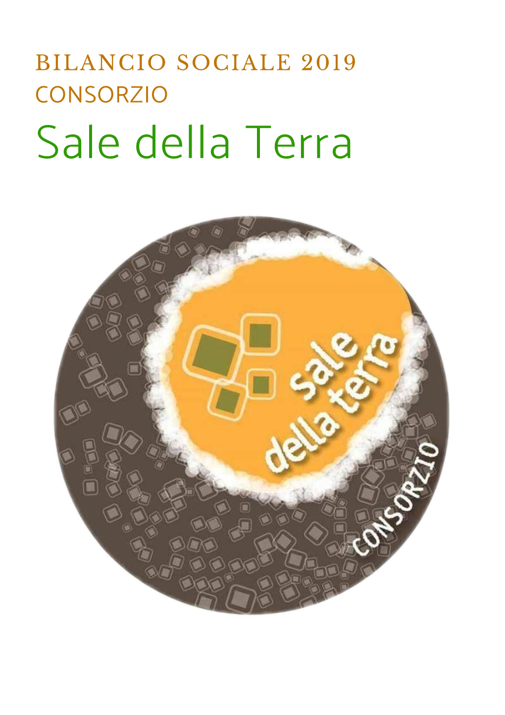 BILANCIO SOCIALE 2019 CONSORZIO Sale Della Terra