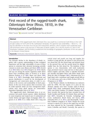 First Record of the Ragged-Tooth Shark, Odontaspis Ferox (Risso, 1810), in the Venezuelan Caribbean Rafael Tavares1* , Leonardo Sanchez1,2 and Jose Manuel Briceño3