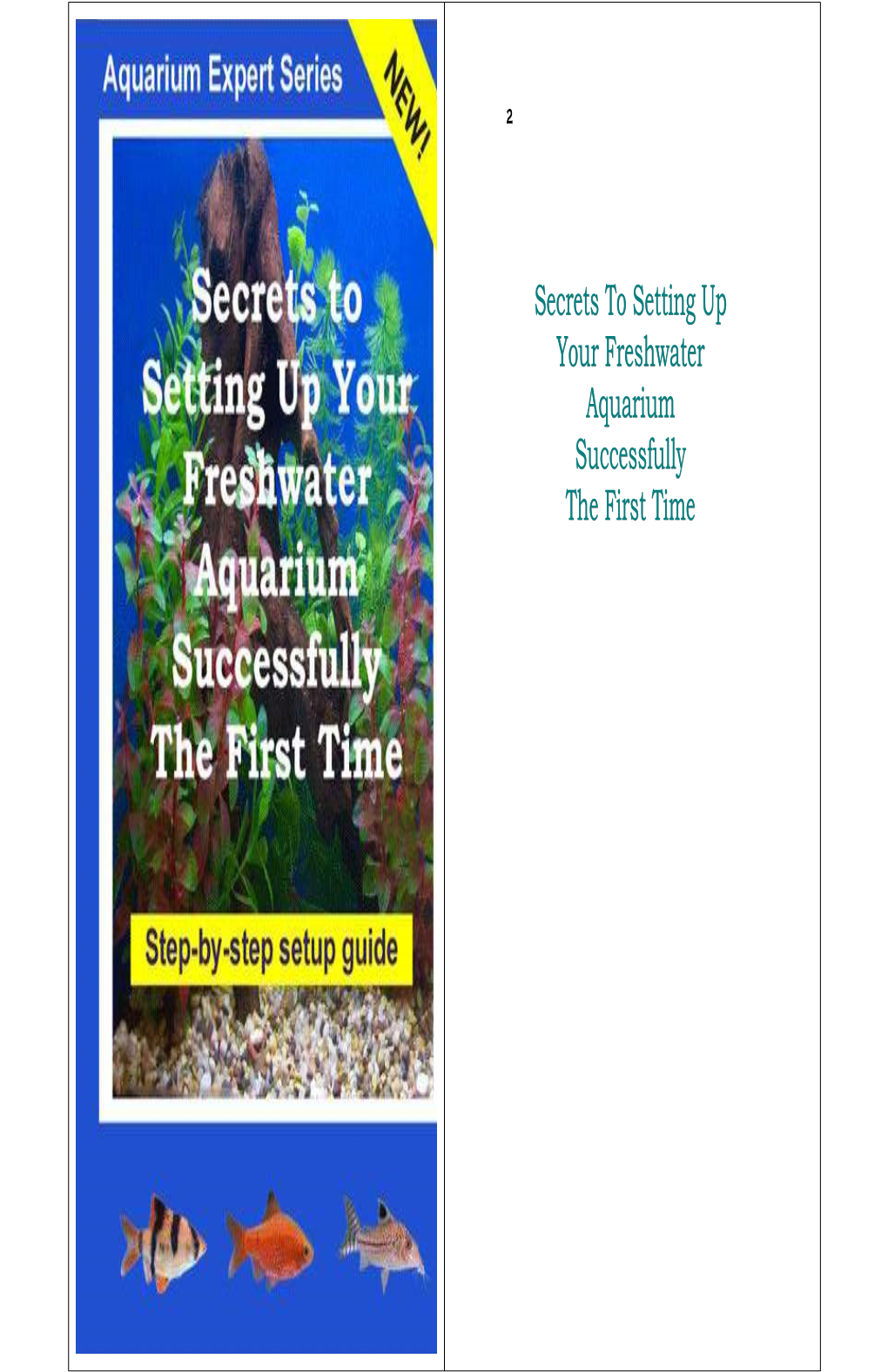 Secrets to Setting up Your Freshwater Aquarium Successfully
