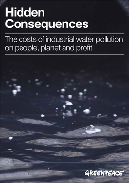 'Hidden Consequences: the Costs of Industrial Water Pollution on People, Planet and Profit' [PDF]