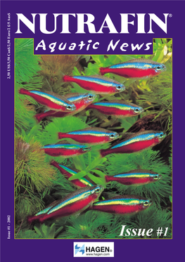 Aquatic Plants in Nature and in the Aquarium