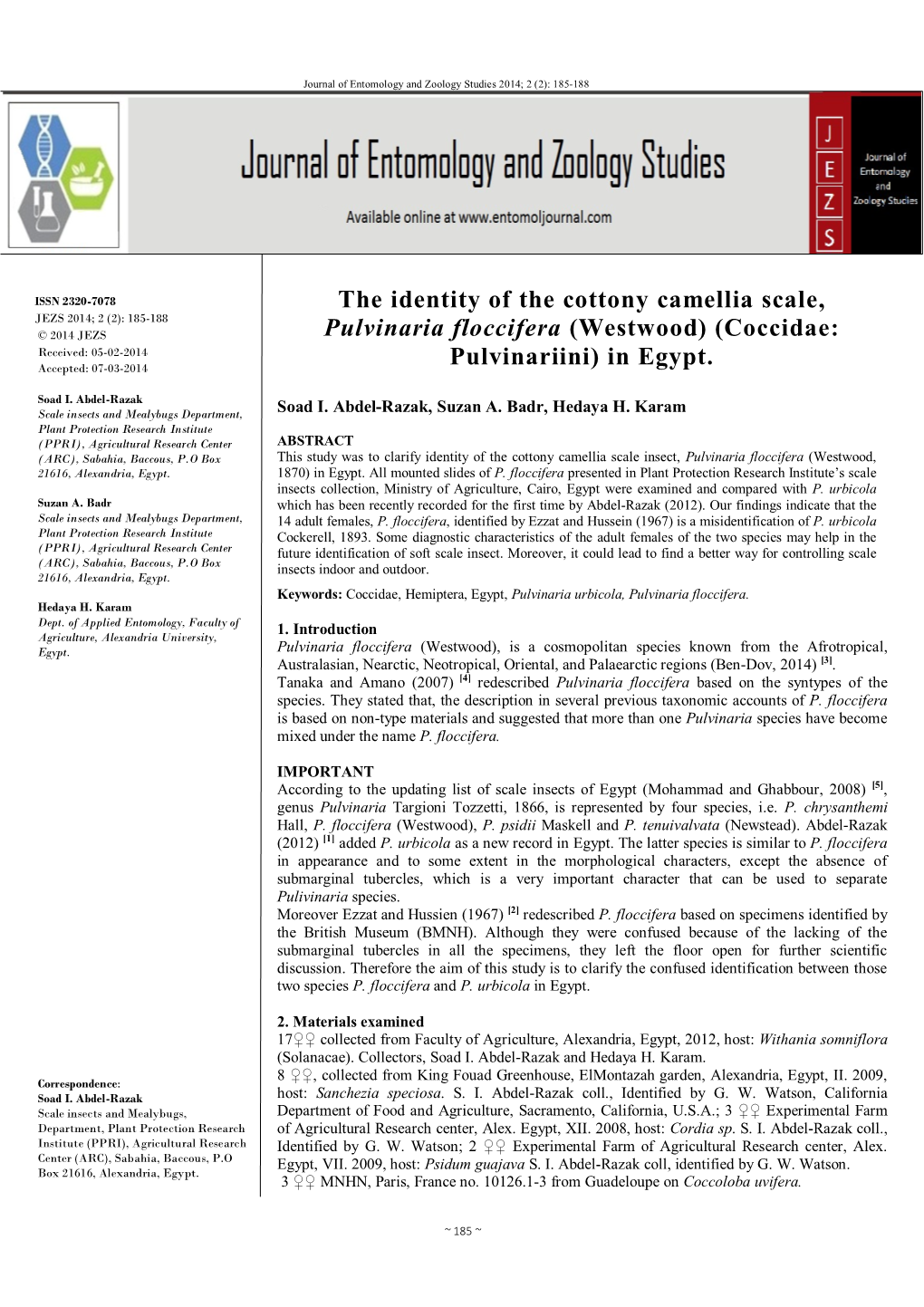 The Identity of the Cottony Camellia Scale, Pulvinaria Floccifera