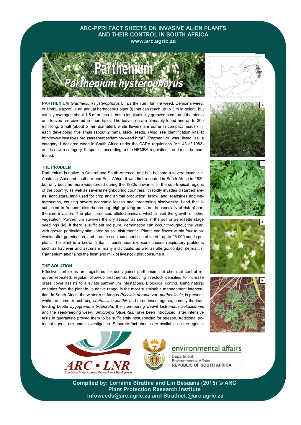 Famine Weed: Parthenium Hysterophorus