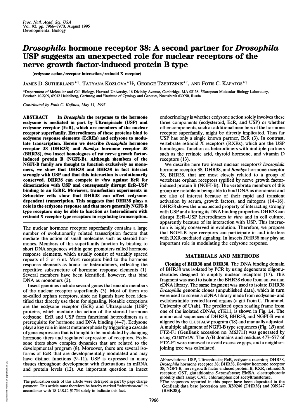 Drosophila Hormone Receptor 38