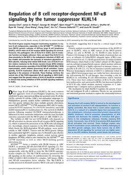 Regulation of B Cell Receptor-Dependent NF-Κb Signaling by the Tumor Suppressor KLHL14